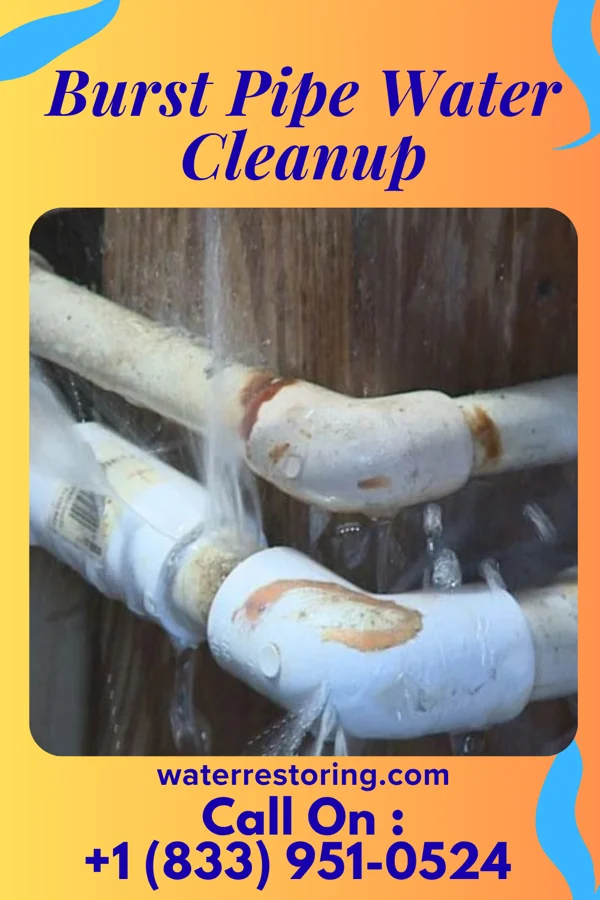 Burst Pipe Water Cleanup in Pancoastburg, OH