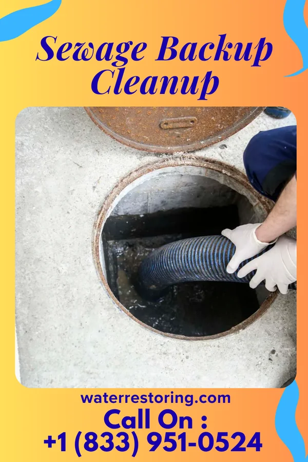 Sewage Backup Cleanup in Pancoastburg, OH