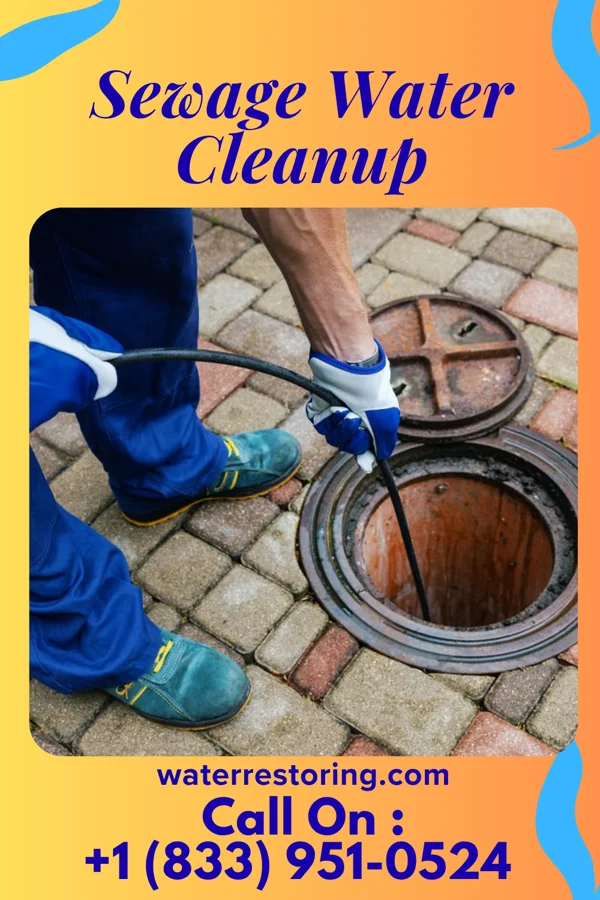Sewage Water Cleanup in Pancoastburg, OH